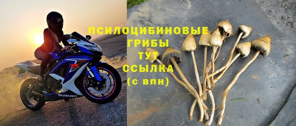 винт Арсеньев